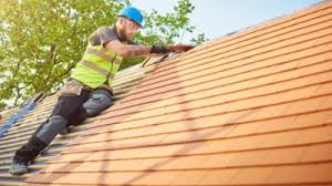 Best Roof Moss and Algae Removal  in Bellemont, AZ
