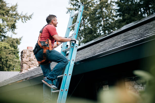 Best Sheet Metal Roofing  in Bellemont, AZ